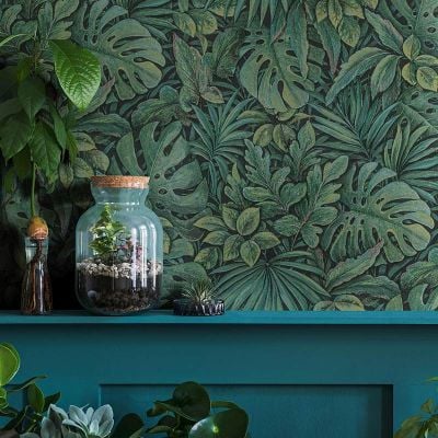 33304 Botanica Marburg